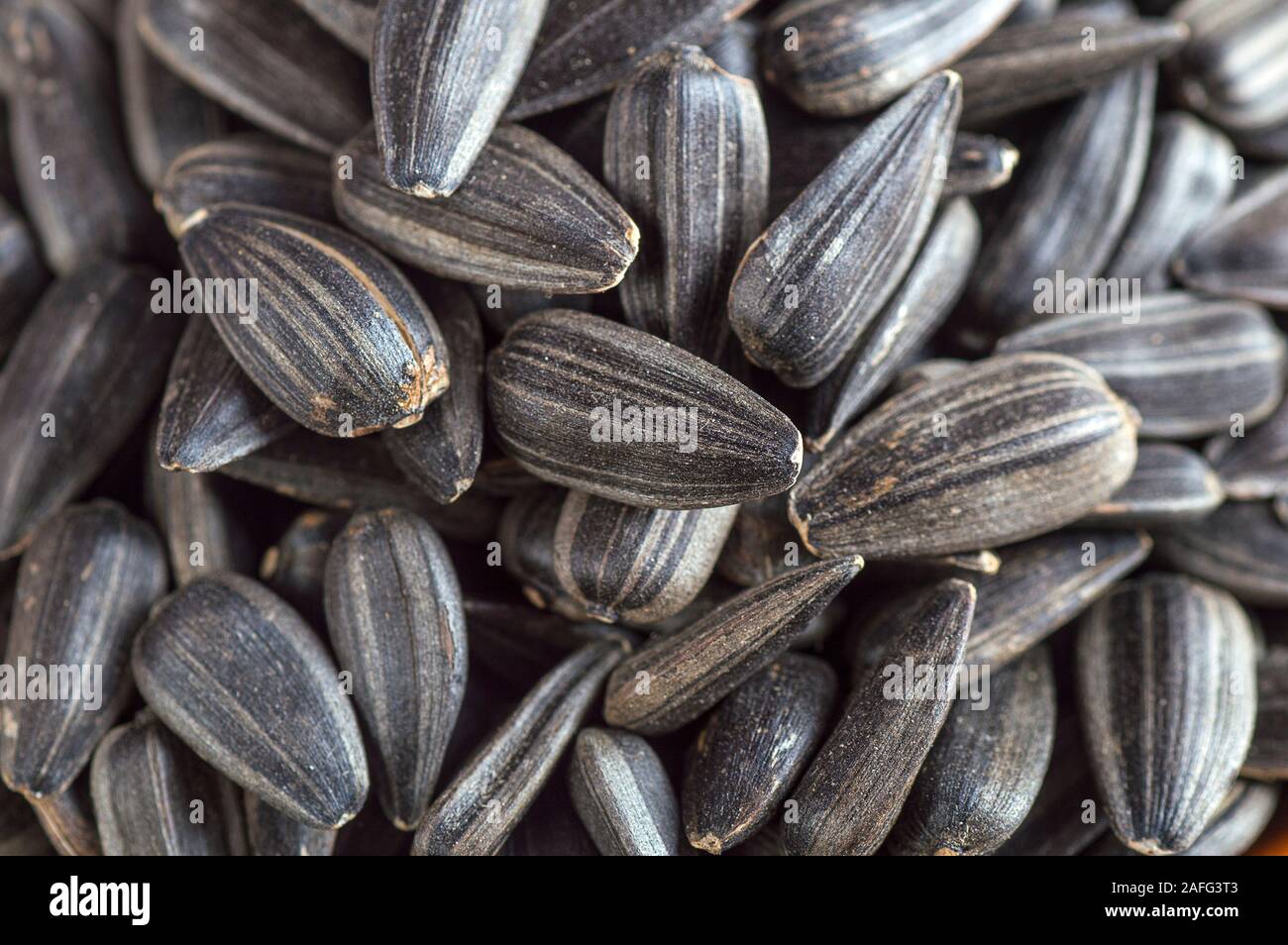 Black sunflower seeds. For texture or background Stock Photo - Alamy