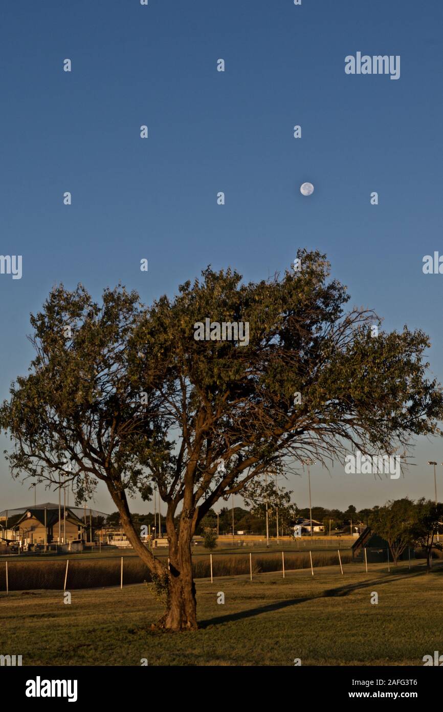 Moon Set, Lindsey City Park, Canyon, Texas Stock Photo