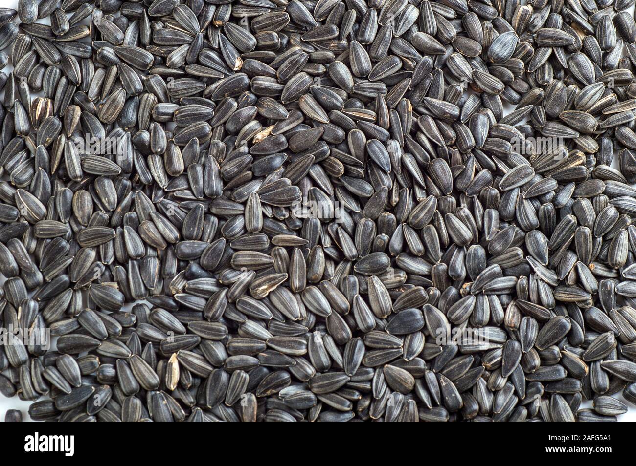 Black sunflower seeds. For texture or background Stock Photo - Alamy