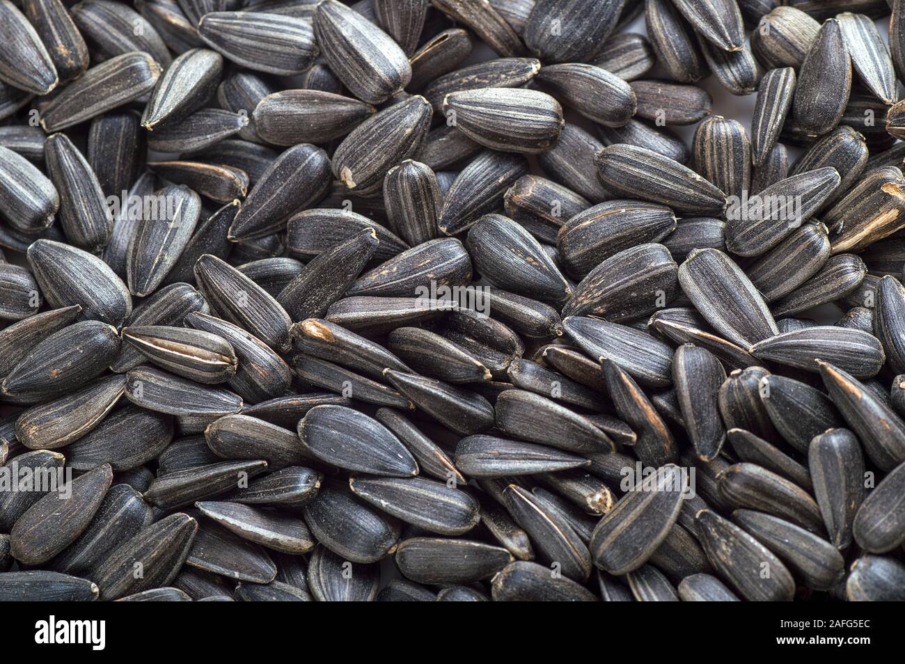 Black sunflower seeds. For texture or background Stock Photo - Alamy