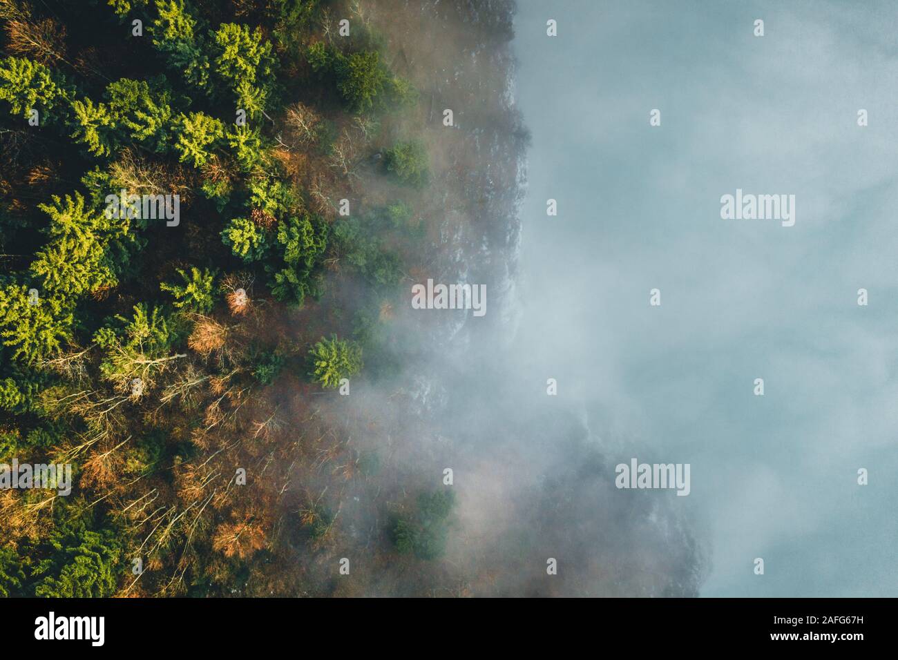 Aerial shot fog over forest hi-res stock photography and images - Alamy