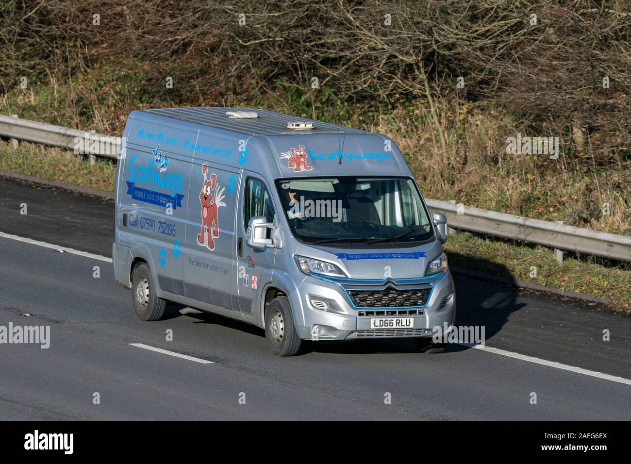 Scallywags dog grooming citroen dispatch van driving on the M61 near Manchester, UK Stock Photo