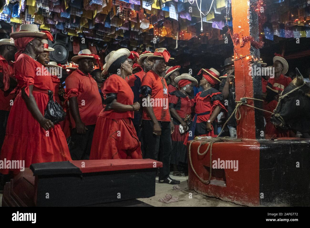 Jacmel, Haiti. 12th Dec, 2019. As the ceremony progresses a bull and coffin believed to be a conduit for the spirits are brought in the Peristil and the bull is tied to the altar.The saying goes Haiti is 70% Catholic, 30% Protestant and 100% Percent Voodoo. Voodoo ceremonies are used to call the presence of spirits or Loa to the physical world. Though its exact number of devotees on the island nation is unclear its presence is undeniable. The sacrifice of a bull is believed to be a great offering to the spirts and might only be performed once a year by a Voodoo Priest. The blood of the sac Stock Photo