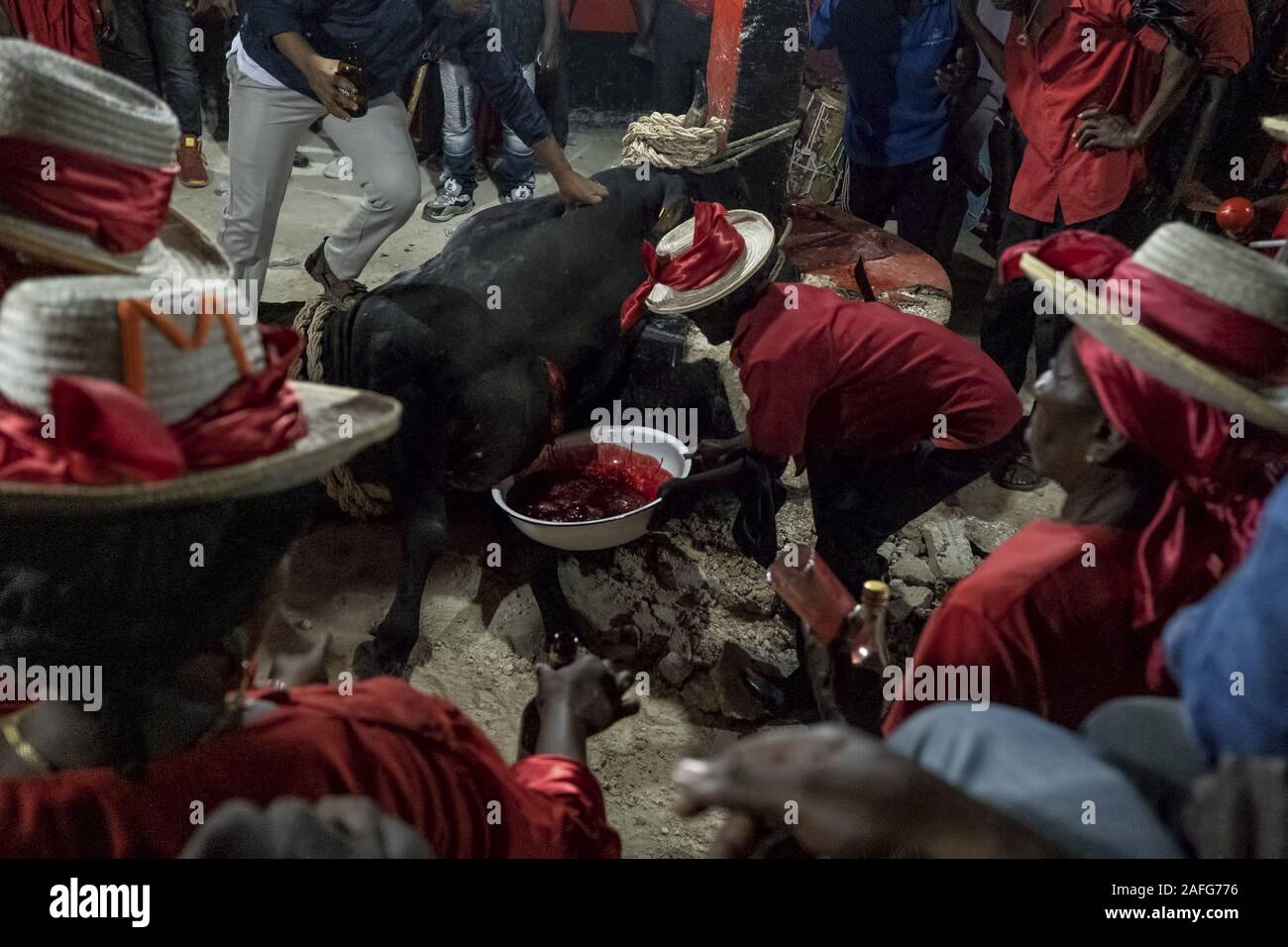 Jacmel, Haiti. 12th Dec, 2019. The Voodooists collect the blood of the sacrificed bull to splash on the altar as an offer to the Loa or spirits.The saying goes Haiti is 70% Catholic, 30% Protestant and 100% Percent Voodoo. Voodoo ceremonies are used to call the presence of spirits or Loa to the physical world. Though its exact number of devotees on the island nation is unclear its presence is undeniable. The sacrifice of a bull is believed to be a great offering to the spirts and might only be performed once a year by a Voodoo Priest. The blood of the sacrifice is meant to deliver the pray Stock Photo