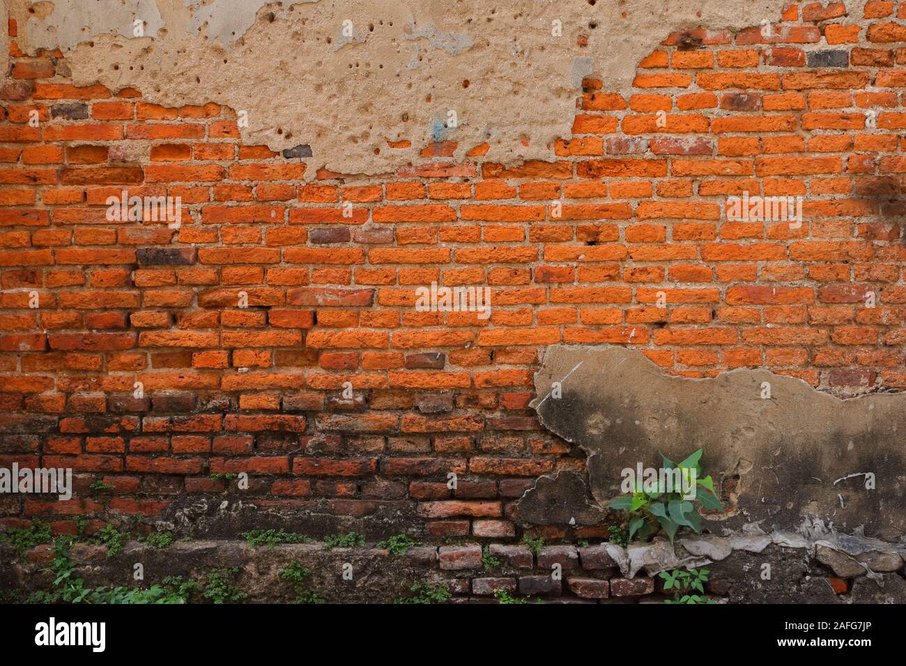 Another brick in the wall hi-res stock photography and images - Alamy