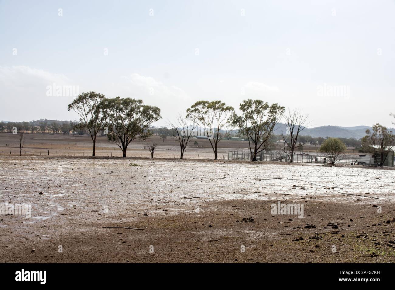 Water laying on barren drought affected farm land after a  rain shower, Tamworth Australia. Stock Photo