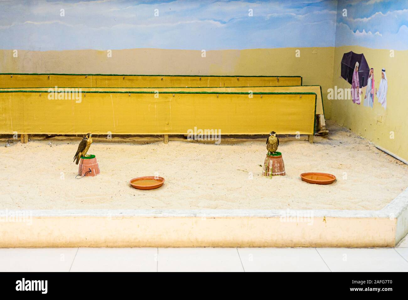 Falcons perched on pots at a shop in the Falcon Souq, Doha, Qatar Stock Photo