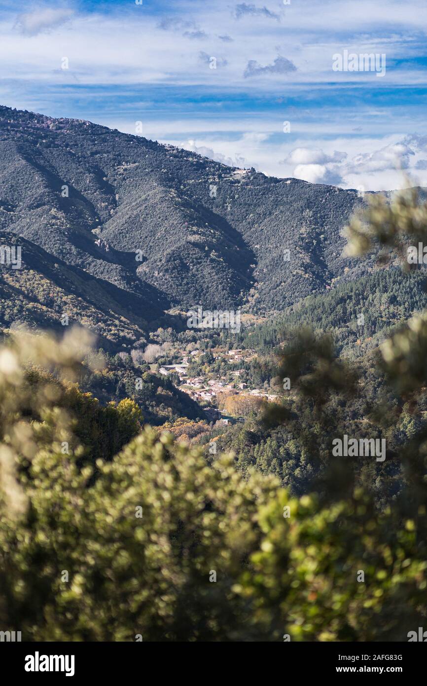 Gavarres Hi res Stock Photography And Images Alamy gavarres-hi-res-stock-photography-and-images-alamy