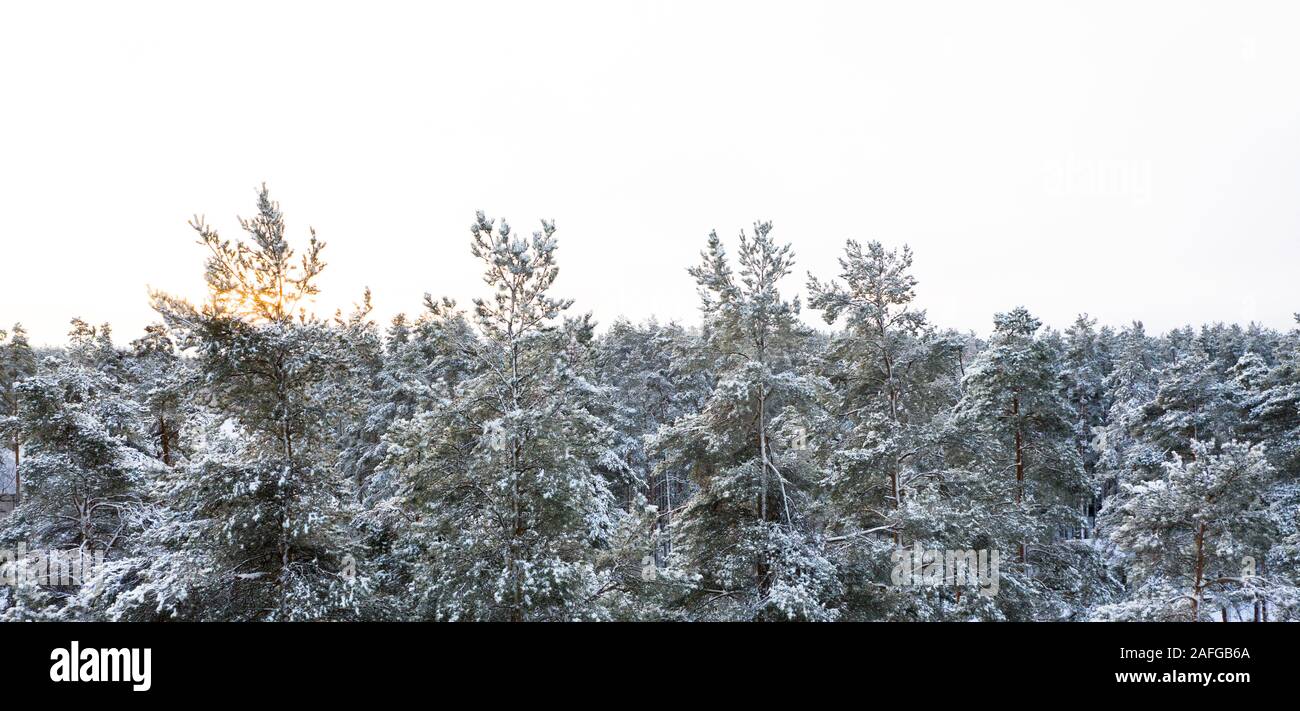 Flight above frozen lake forest hi-res stock photography and images - Alamy