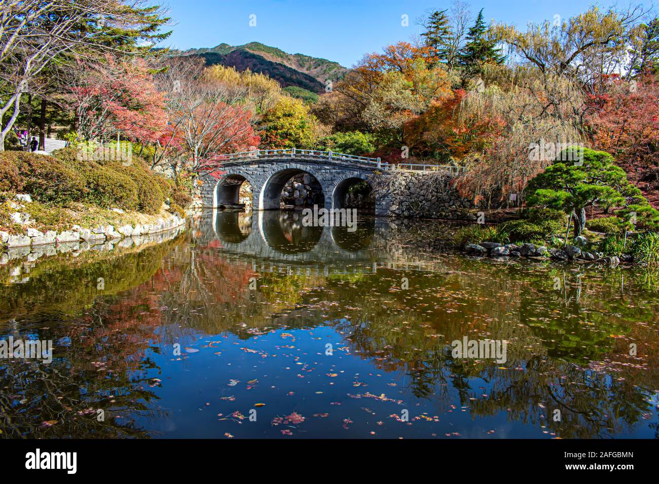 Ancient bridge in South Korean Mountains with a beautiful autumn display of colour reflecting in the lake. Stock Photo