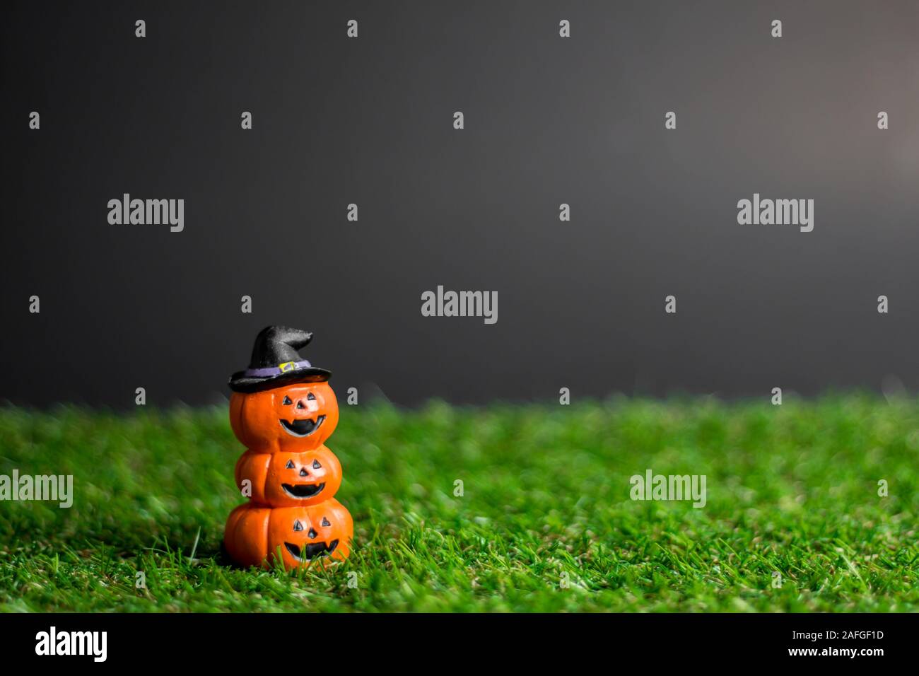 Pumpkin halloween on the grass and the background is black Stock Photo ...