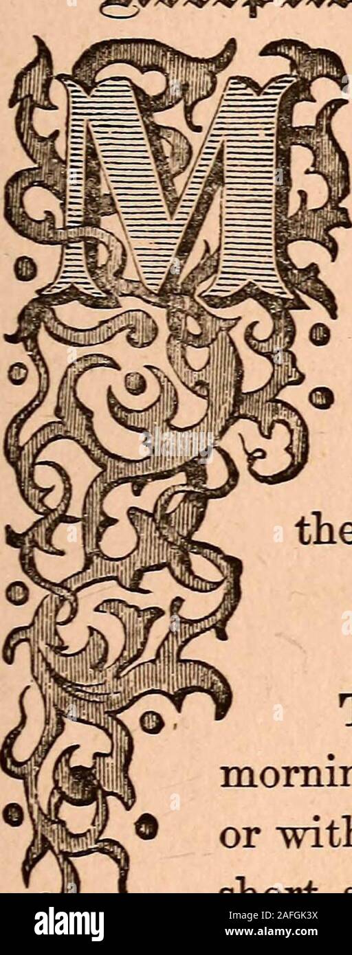 Antique dress forms hi-res stock photography and images - Alamy