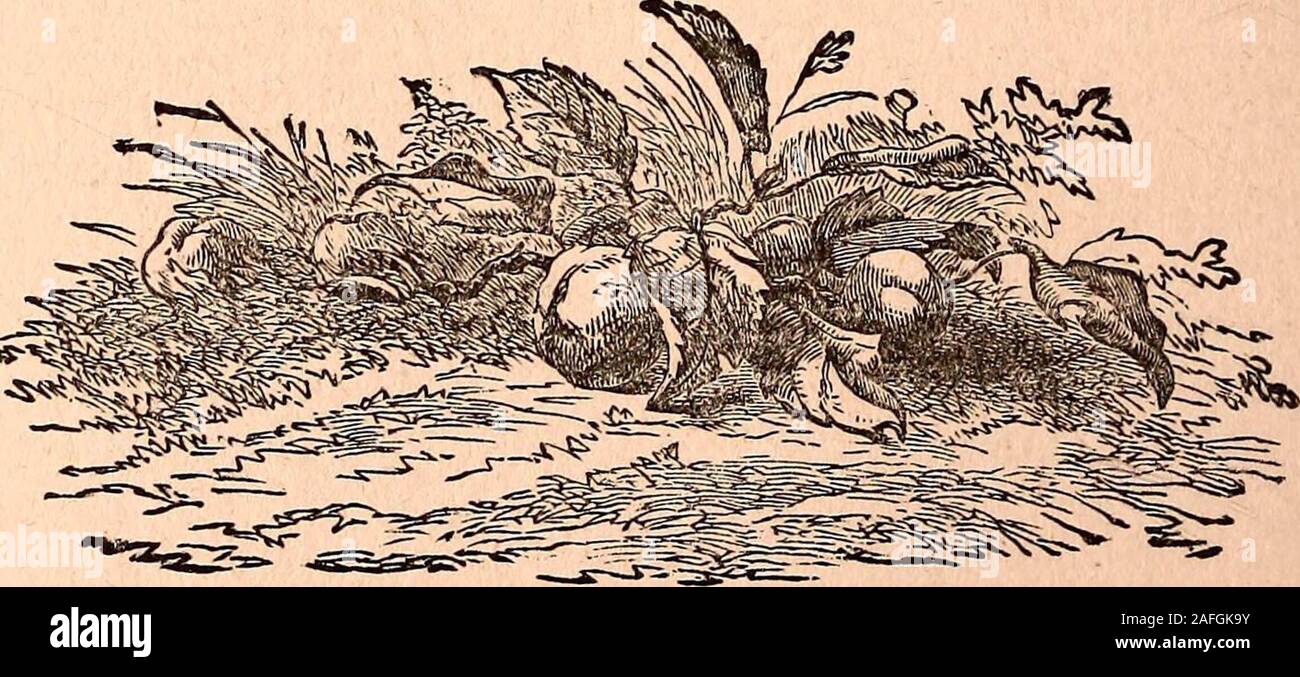 Vintage dress forms hi-res stock photography and images - Alamy