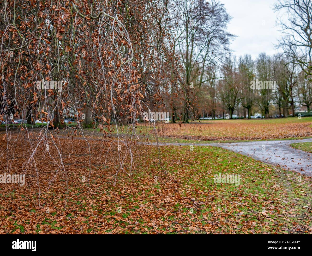Overhanging Floor High Resolution Stock Photography and Images - Alamy