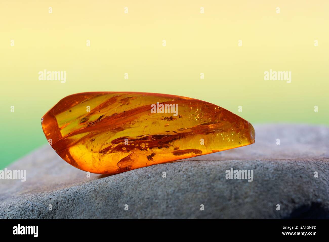 Amber with trapped insects photographed in studio with close up lens Stock Photo