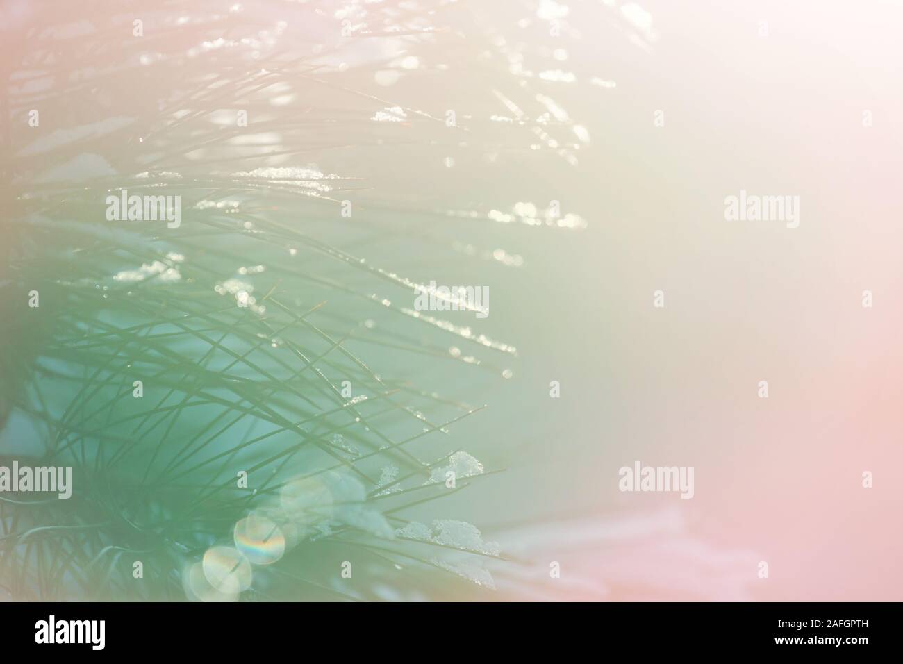 Abstract Christmas image suitable for the holiday background Stock Photo