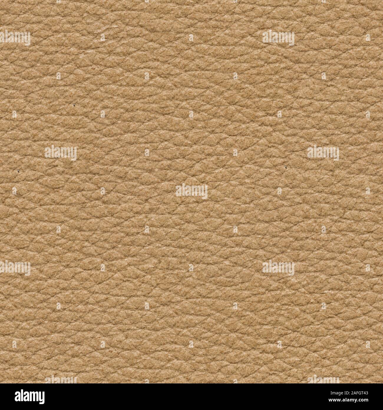Ordinary leather background for new project. High quality texture in extremely high resolution. Stock Photo