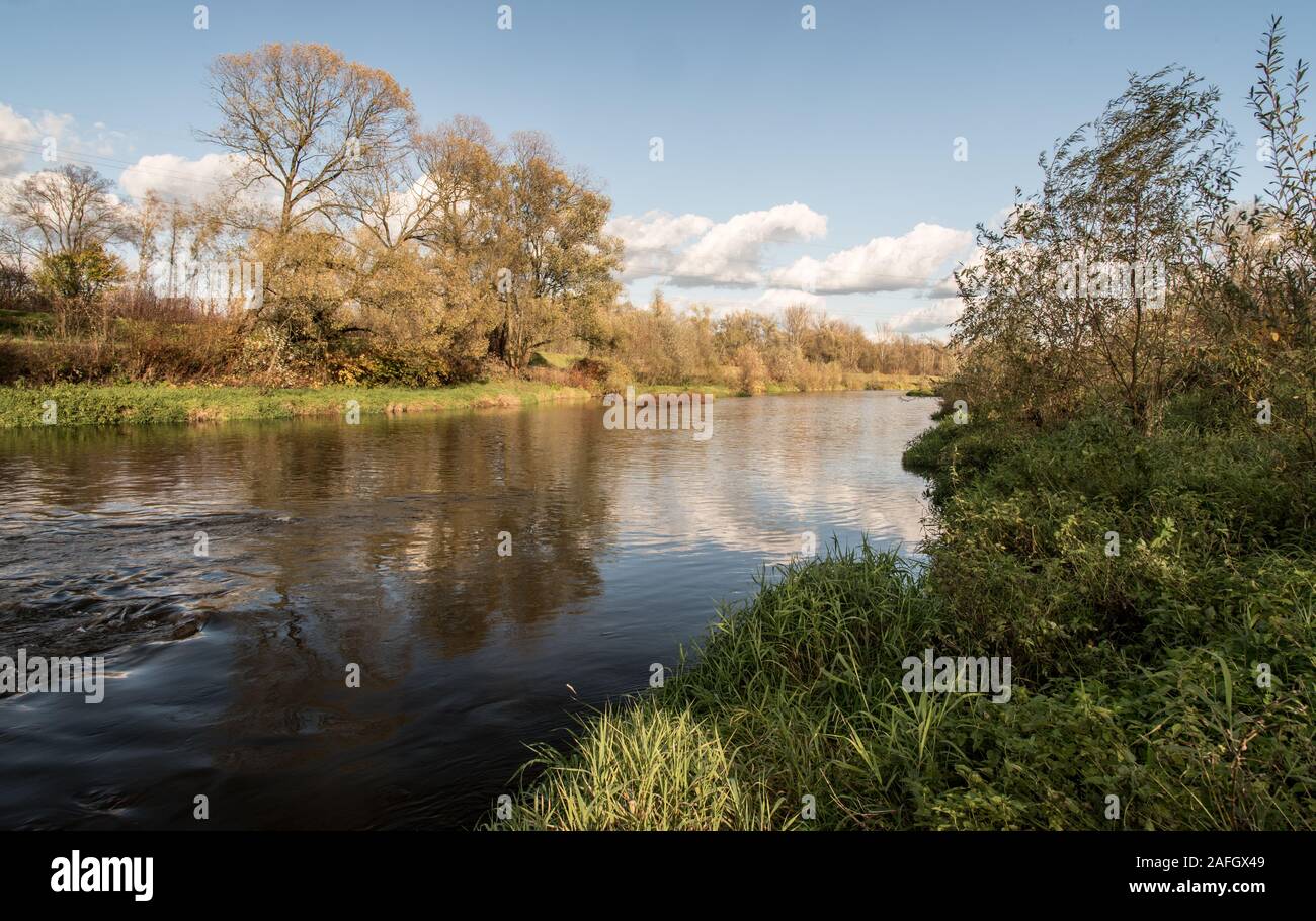 Olse river with colorful trees and blue sky with clouds near Karvina city in Czech republic during nice autumn day Stock Photo