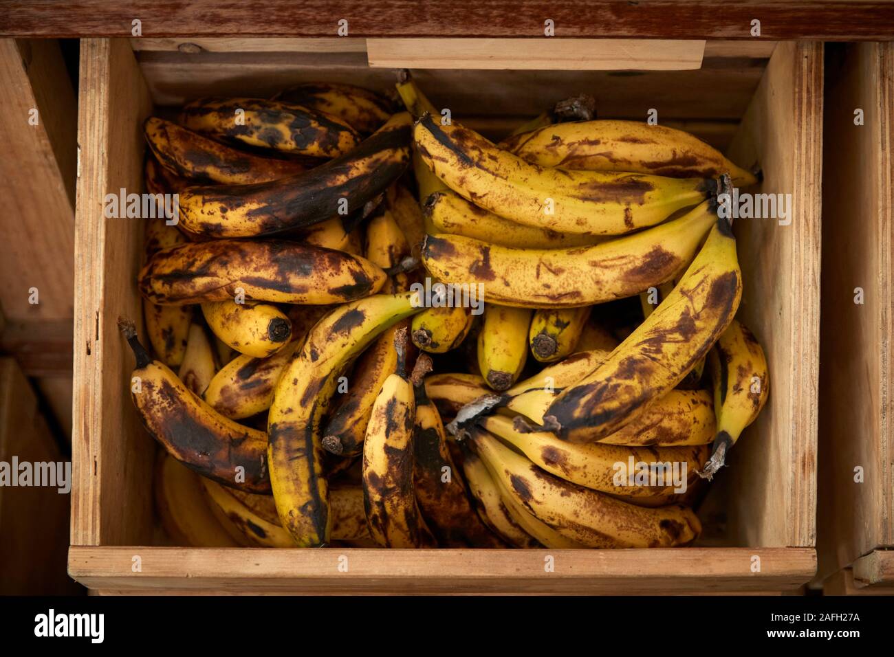 Display Of Bananas In Sustainable Plastic Packaging Free Grocery Store Stock Photo