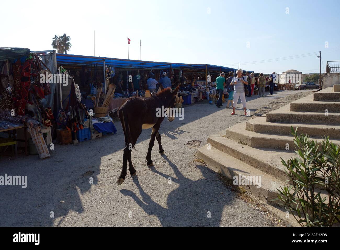 frei lebende Esel am Apostel Andreas Kloster warten auf Futter von Touristen, Dipkarpaz / Rizokarpaso, Türkische RepublikNordzypern Stock Photo