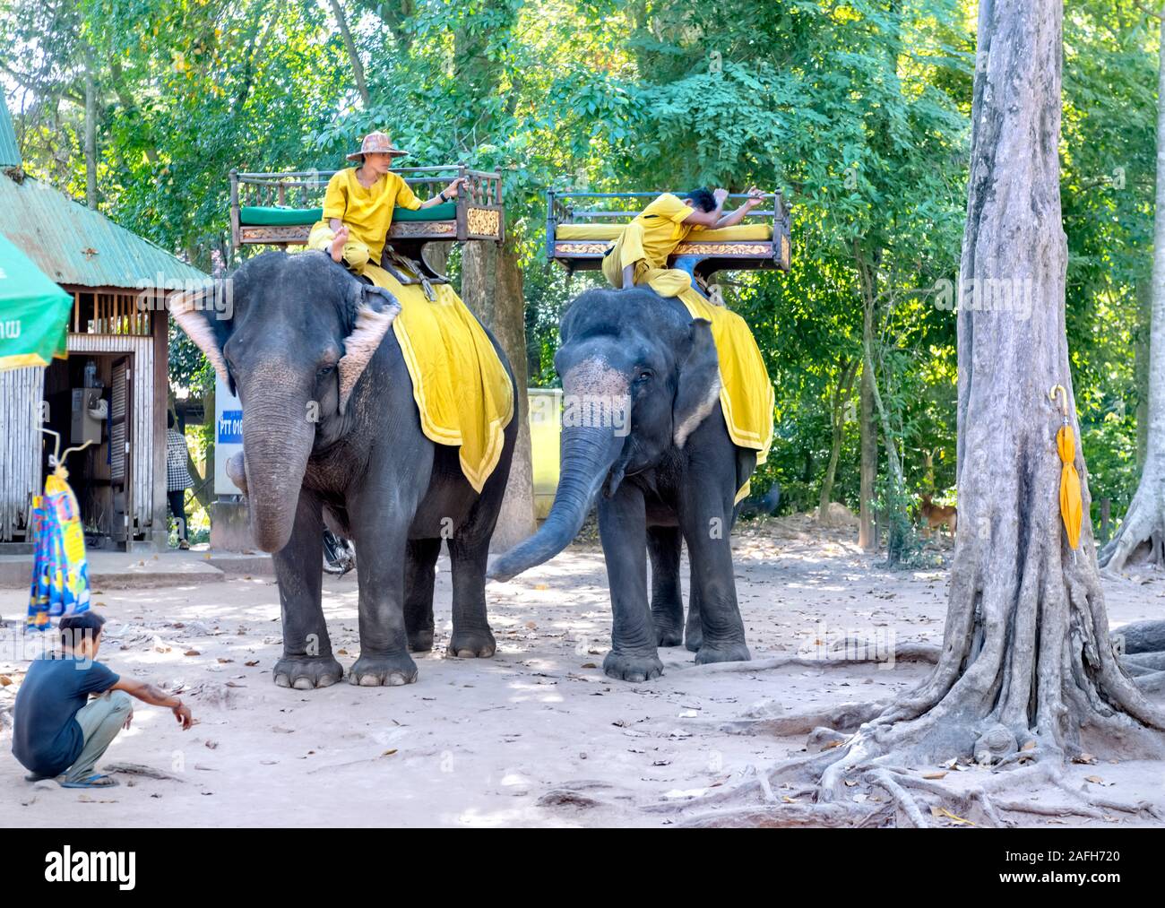Mahouts riding asian elephants Angkor Thom Siem Reap Cambodia Stock Photo