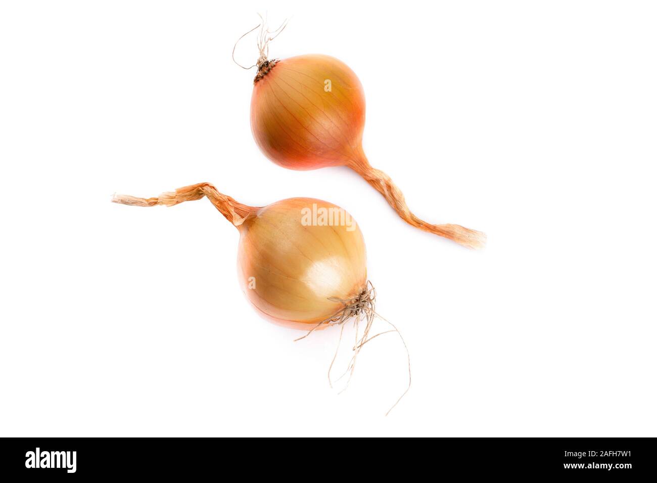Organic yellow onions on white background Stock Photo