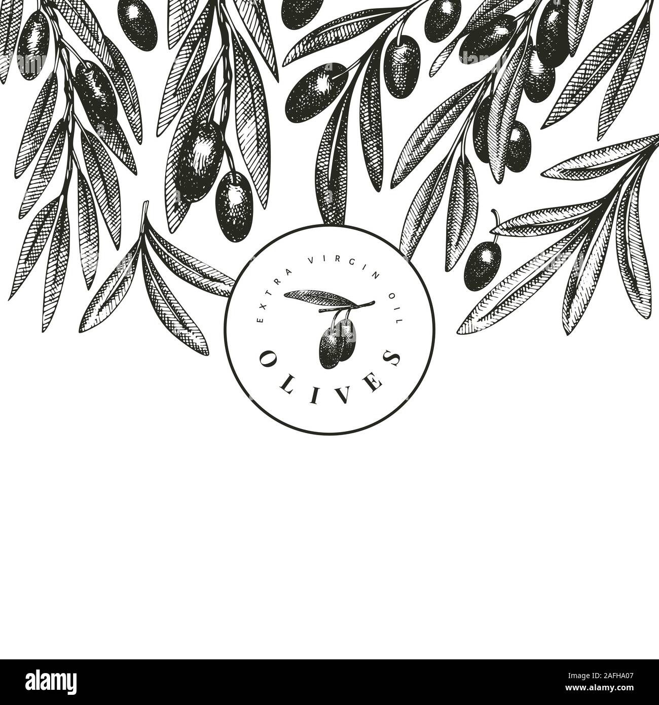 Olive branch design template. Hand drawn vector food illustration ...