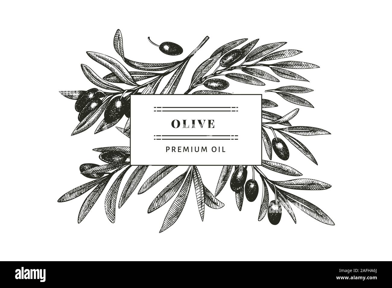 Olive branch design template. Hand drawn vector food illustration ...