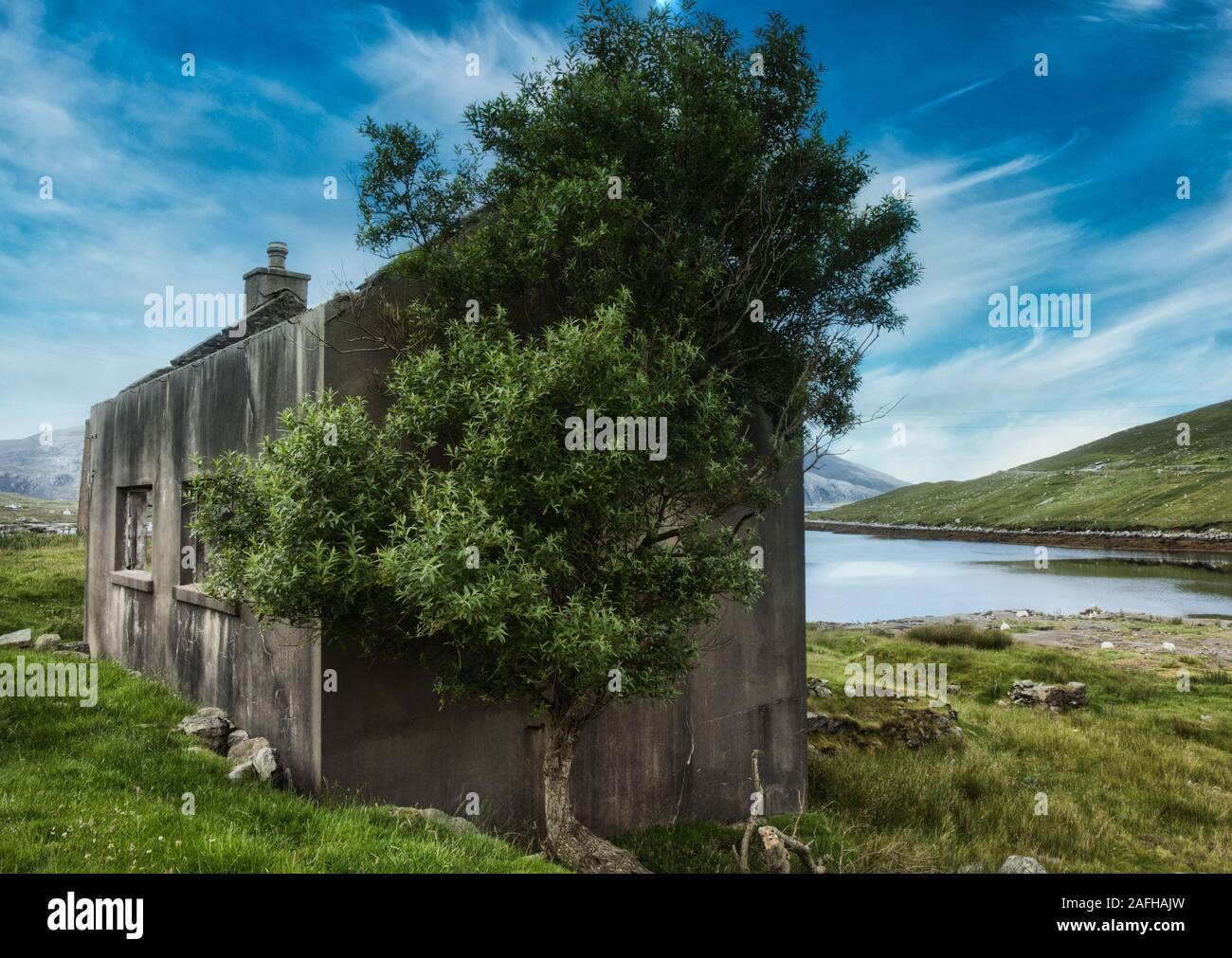 Tree growing next to abandoned crofters dwelling, Isle of Harris, Outer Hebrides, Scotland Stock Photo