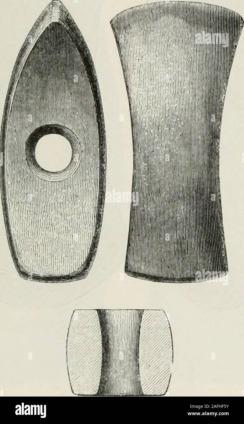 . The ancient stone implements, weapons, and ornaments, of Great Britain. BORING, THE LAST PROCESS. 185 Greenwell, F.S.A. It is 5f inches long, 2J inches broad, and 2g inchesthick at the cutting end. A partially finished axe-head, with one face and about two-thirds ofthe width of the sides worked into form, is engraved in the HoraeFerales. • It is not a British specimen, but its place of finding isunknown. A rather more elaborate form, having the two faces curved longitudi-nally inwards, and the edge broader than the hammer end, is shown inFig. 135. The original, which is of porphyritic greens Stock Photo