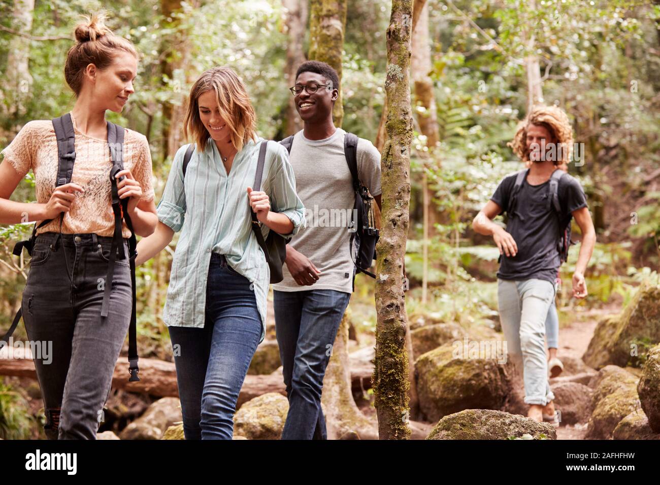 Four millennial friends hiking together in a forest, three quarter length Stock Photo