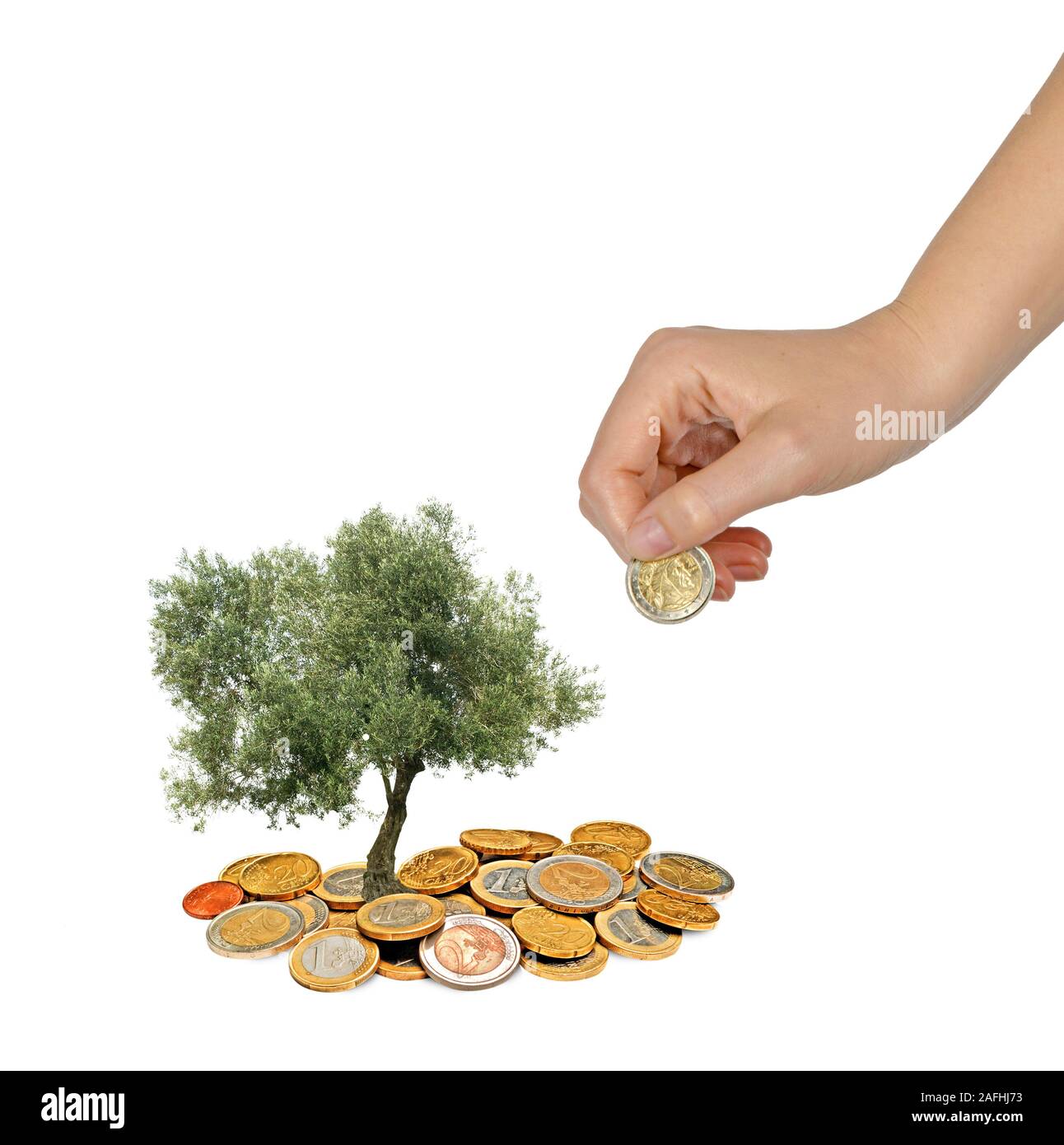 investing to green business Stock Photo