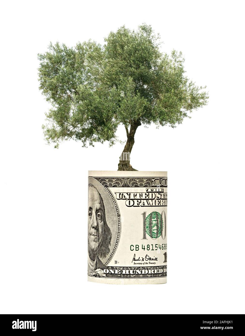 olive tree growing from dollar bill Stock Photo Alamy