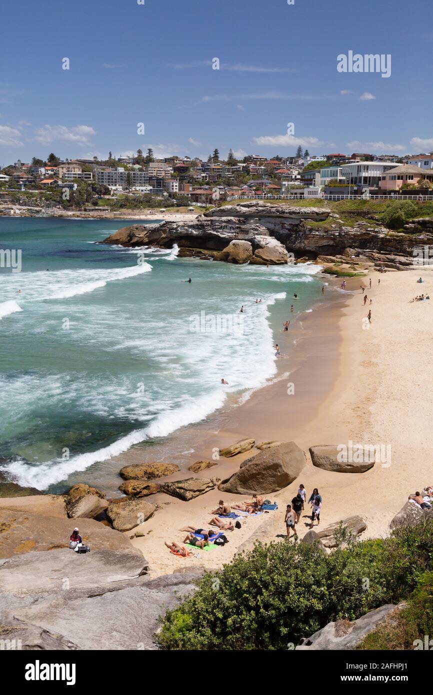 Sydney beach; Tamarama beach, a small sandy beach in Sydney seen in spring sunshine, Sydney Australia Stock Photo
