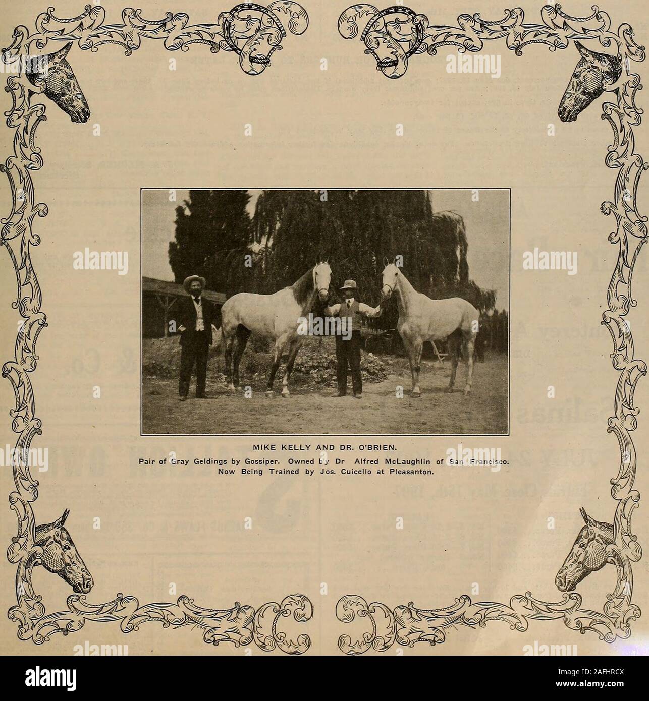 . Breeder and sportsman. VOLUME L. No. 19. SATURDAY, MAY 11, 1907. Subscription $3.00 a Year. THE BREEDER AND SPORTSMAN [Saturday, May 11, 1907. STATE FAIR RACES, 1907 TO BE GIVEN AT THE CALIFORNIA STATE FAIR Sacramento, Cal., Sept. 9, 10, 11, 12, 13, 14, 07 Guaranteed Stakes for Harness Horses. Entries Close Wednesday, May 15th PROGRAMME: MONDAY, SEPT. 9th No. 1—Occident Stake (Closed January 1, 1905).No. 2—2:20 Class Pacing .$2000 TUESDAY, SEPT. 10th. No. 3—2:14 Class TrottingNo. 4—2:12 Class Pacing . .$800.$800 WEDNESDAY, SEPT. 11th. No. J5—Two-Year-Olds, Trotting, Heats two in three.No. 6— Stock Photo