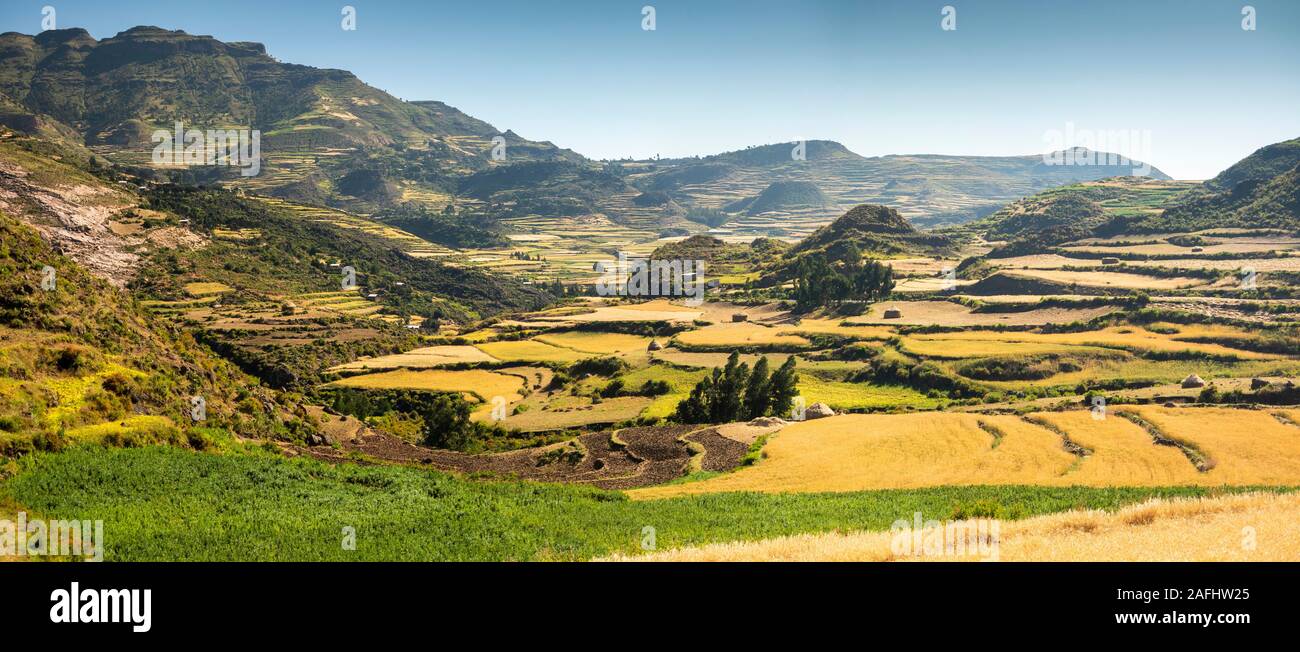 Ethiopian famine 1980s hi-res stock photography and images - Alamy