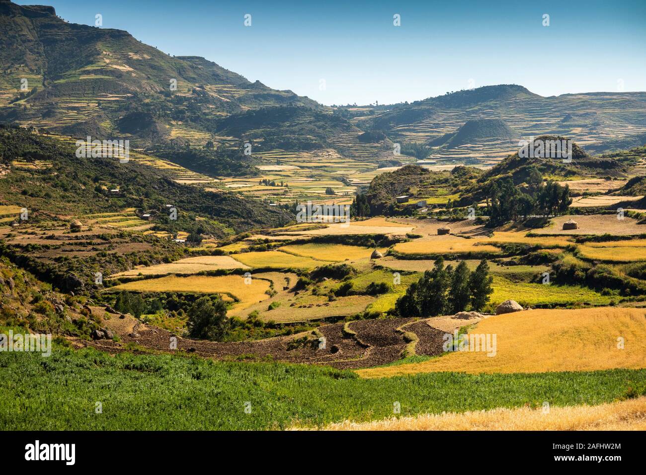 Ethiopia, Tigray, Debab, terraced agricultural fields in spectacular ...