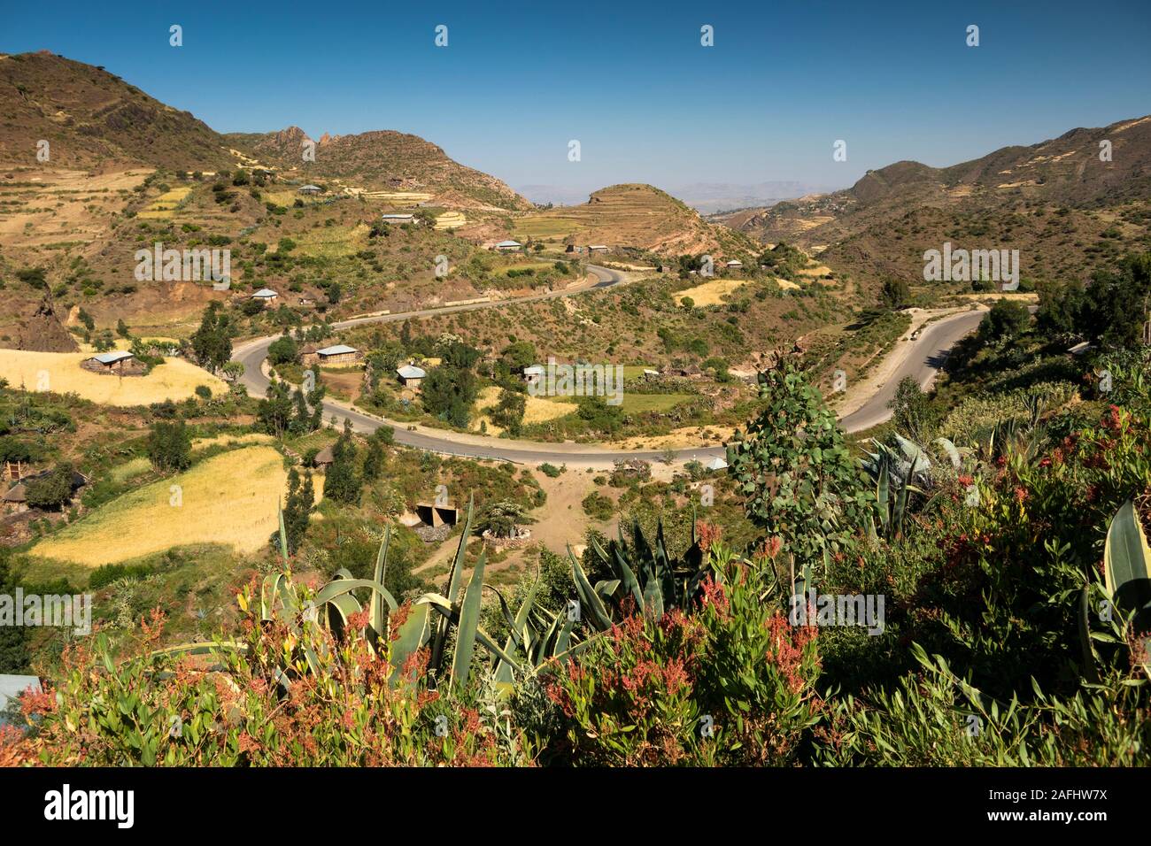 Ethiopian famine 1980s hi-res stock photography and images - Alamy