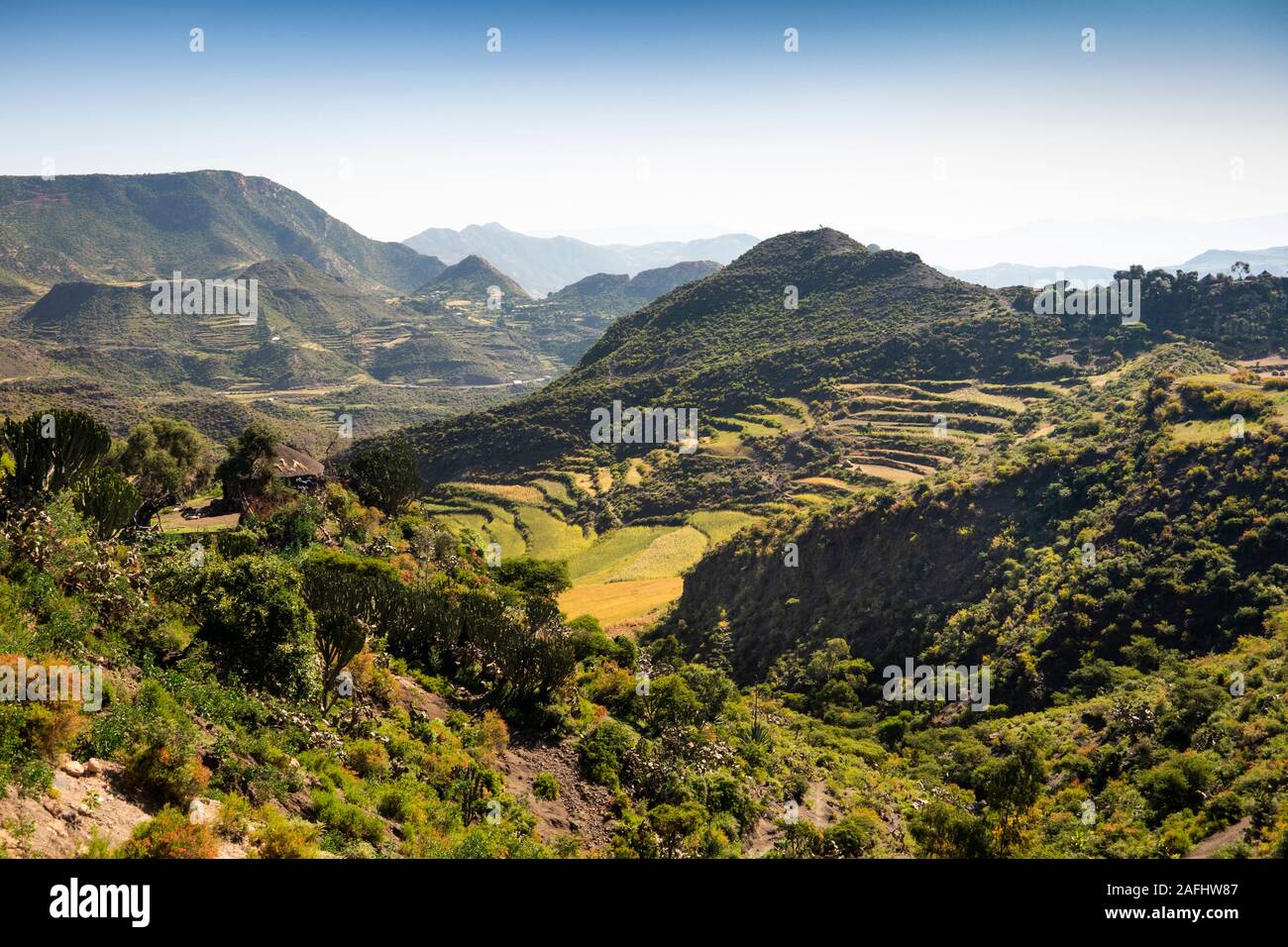 Ethiopia, Tigray, K’Eyih, terraced agricultural fields in spectacular landscape at harvest time Stock Photo