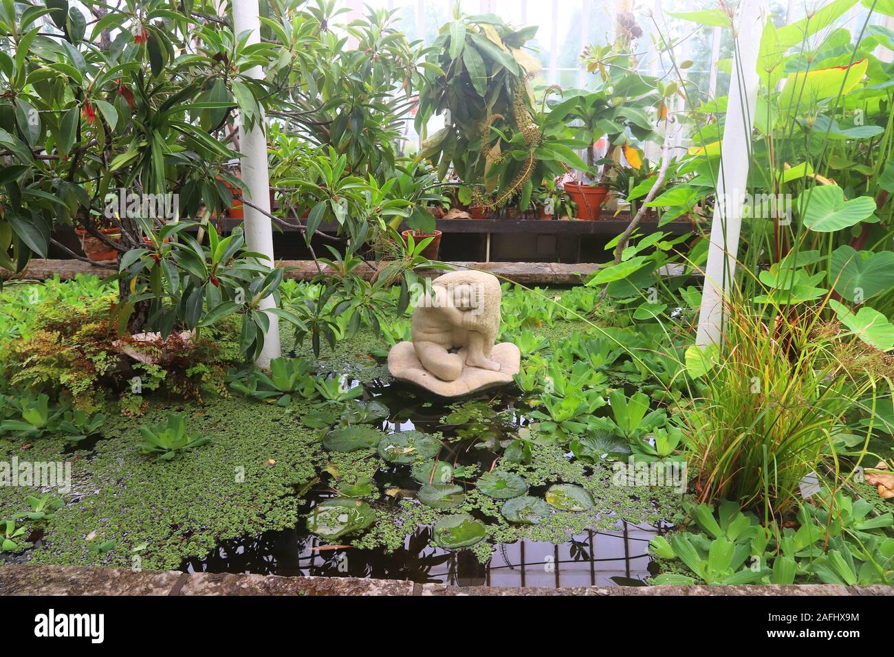 Gothenburg Botanical Garden greenhouse. Gothenburg city, Sweden Stock Photo Alamy