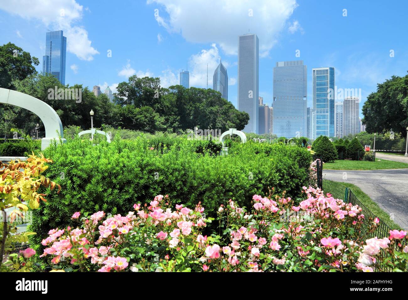 Chicago skyline seen from rose garden in Grant Park Stock Photo - Alamy