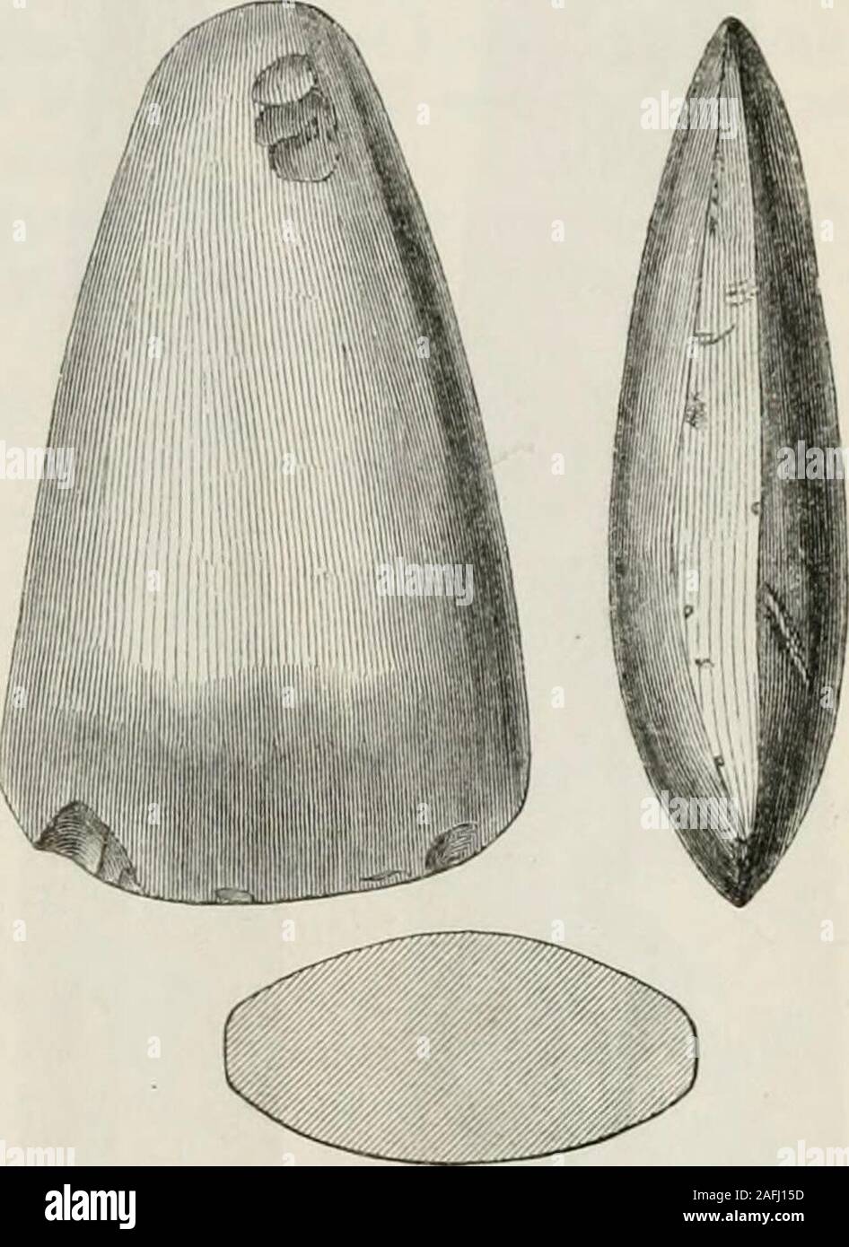 . The ancient stone implements, weapons, and ornaments, of Great Britain. Fig. .58.—Burradon, Norlhumbeiiaiid. Fijj. 59.—Livermere, Suffolk. Stock Photo