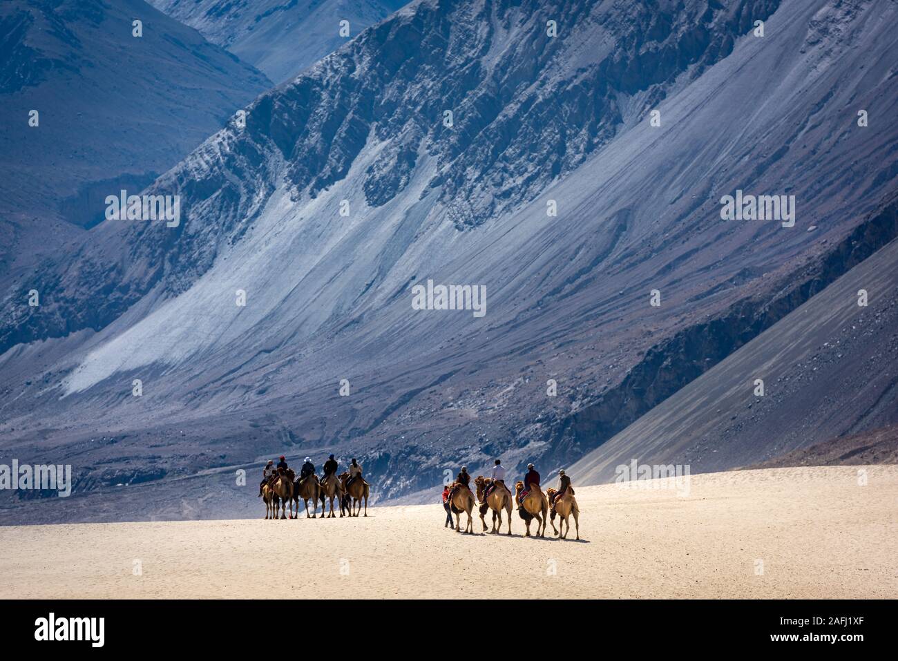 trip in the sand dunes of Nubra Valley, Ladakh Stock Photo