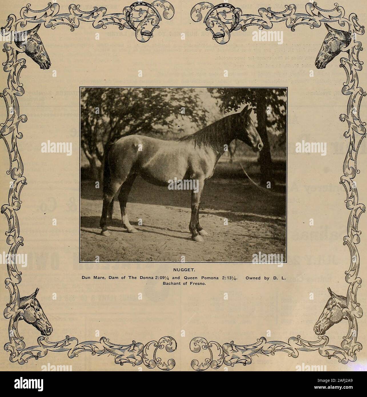 . Breeder and sportsman. VOLUME L. No. 18. SATURDAY, MAT 4, 1907. Subscription $3.00 a Year. THE BREEDER AND SPORTSMAN [Saturday, May 4, 1907. STATE FAIR RACES, 1907 TO BE GIVEN AT THE CALIFORNIA STATE FAIR Sacramento, Cal., Sept. 9, 10, 11, 12, 13, 14, 07 Guaranteed Stakes for Harness Horses. Entries Close Wednesday, May 15th PROGRAMME: MONDAY, SEPT. 9th No. 1—Occident Stake (Closed January 1, 1905).No. 2—2:20 Class Pacing TUESDAY, SEPT. 10th. No. 3—2:14 Class TrottingNo: 4—2:12 Class Pacing . WEDNESDAY, SEPT. 11th. No. 5—Two-Year-Olds, Trotting, Heats two in three.No. 6—2:08 Class Pacing ... Stock Photo