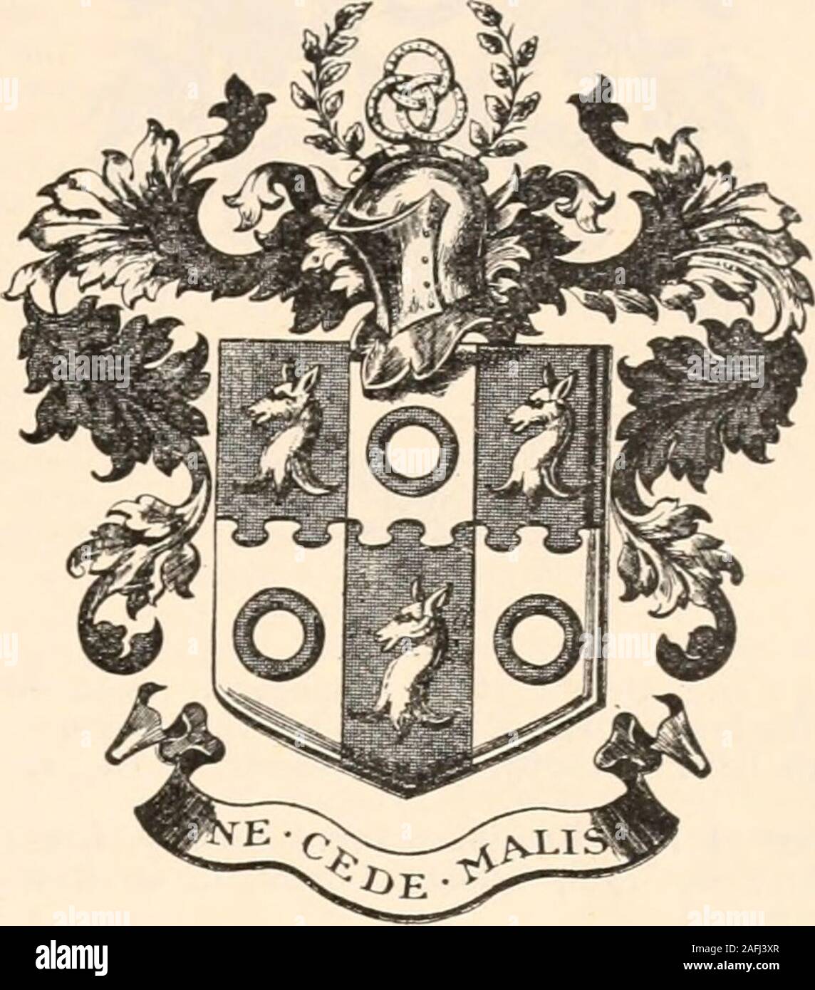 Lady elphinstone hires stock photography and images Alamy