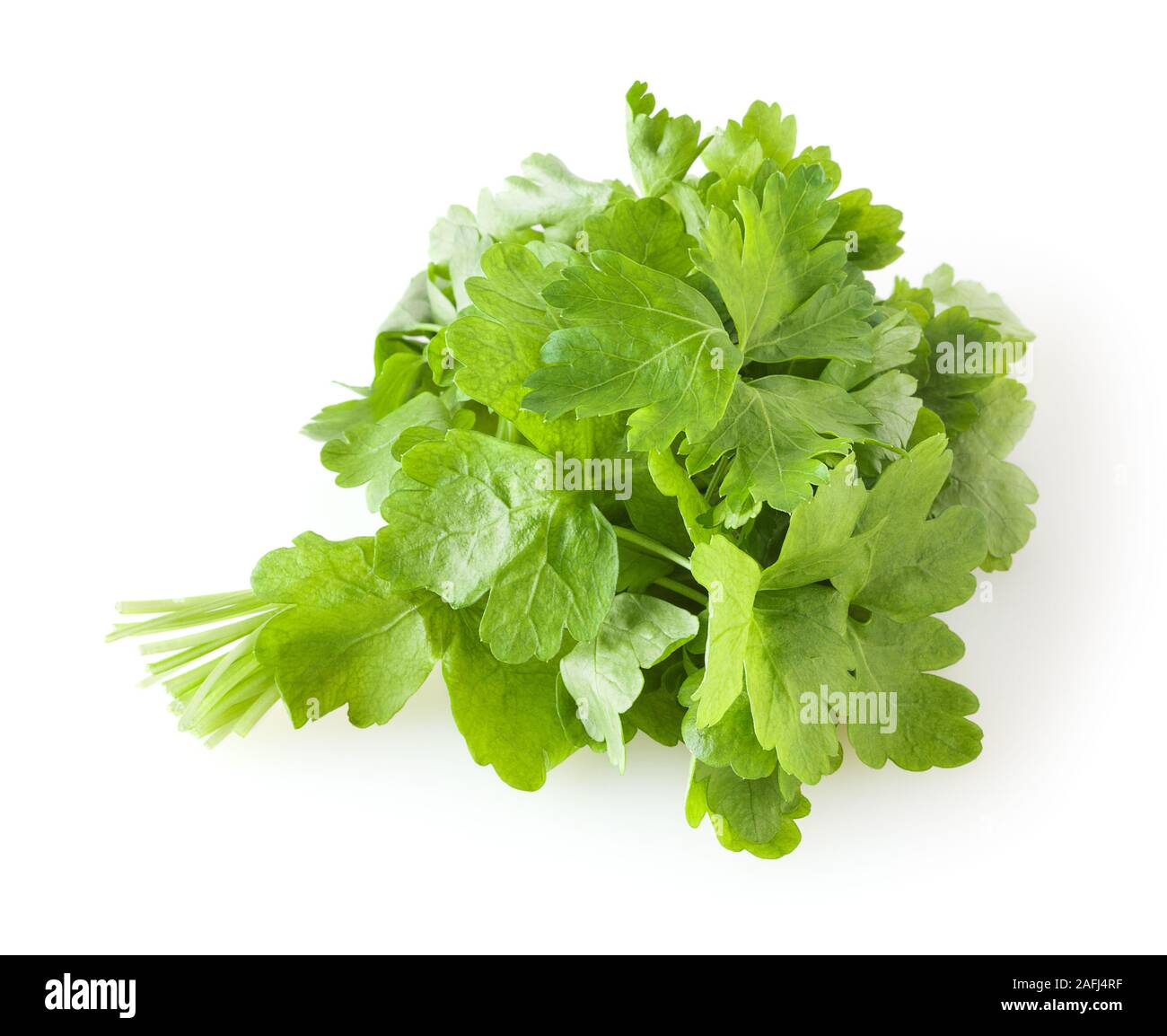 Fresh parsley leaves isolated on white background Stock Photo - Alamy