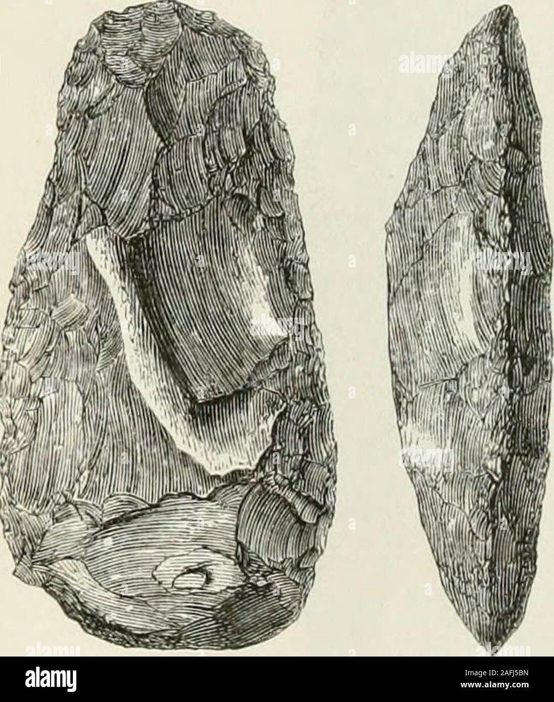 . The ancient stone implements, weapons, and ornaments, of Great Britain. other form, apparently intended for use as an adze, is also ofrare occurrence. The specimen given in Fig. 39 was found atGanton, Yorkshire, and is in my own collection. It is very muchmore convex on one face than the other, which indeed is nearlyflat. The grinding is confined to the edge, but some parts of theflat face are polished as if by friction. 86 CELTS GROUND AT THE EDGE ONLY, [chap. Dr. Jolin Stuart, F.S.A. Scot., lias shown me a sketch of a largeimplement of this type, and considerably bowed longitudinally,found Stock Photo