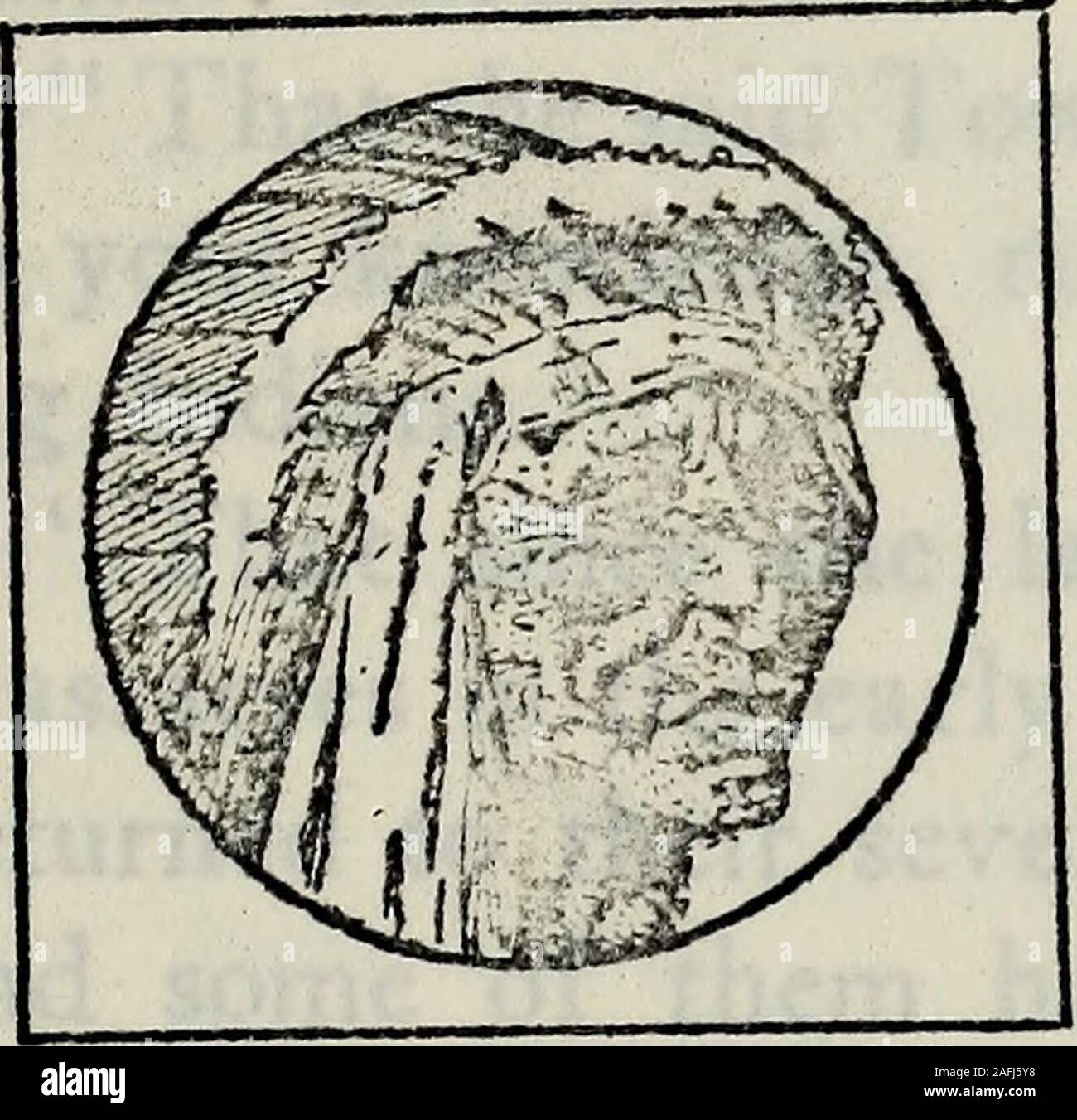 The Pennsylvania-German Society : [Publications]. —. CHAPTER XXX. Peter  Dolls Blockhouse. N his tour of inspection toTeads Blockhouse, MarchI,  1758, Major Burd makes men-tion of a station at Peter DollsBlockhouse, which