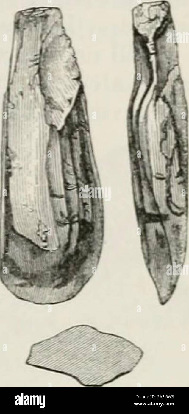 . The ancient stone implements, weapons, and ornaments, of Great Britain. Fig. 31.—Culford, Suffolk. prisms by assuming a sort of columnar structure, much like that whichis exhibited by starch in drying, is well known. The maker of thisimplement has judiciously selected one of these prisms, which required nomore than a moderate amount of gi-inding at one end to convert it into aneat and useful tool. It was found at Culford, in Sutiolk, and formerlybelonged to Mr. Warren, of Ixworth, but is now in my own collection. The celt represented in Fig. 32 is alsomine, and was found in the same neighbou Stock Photo