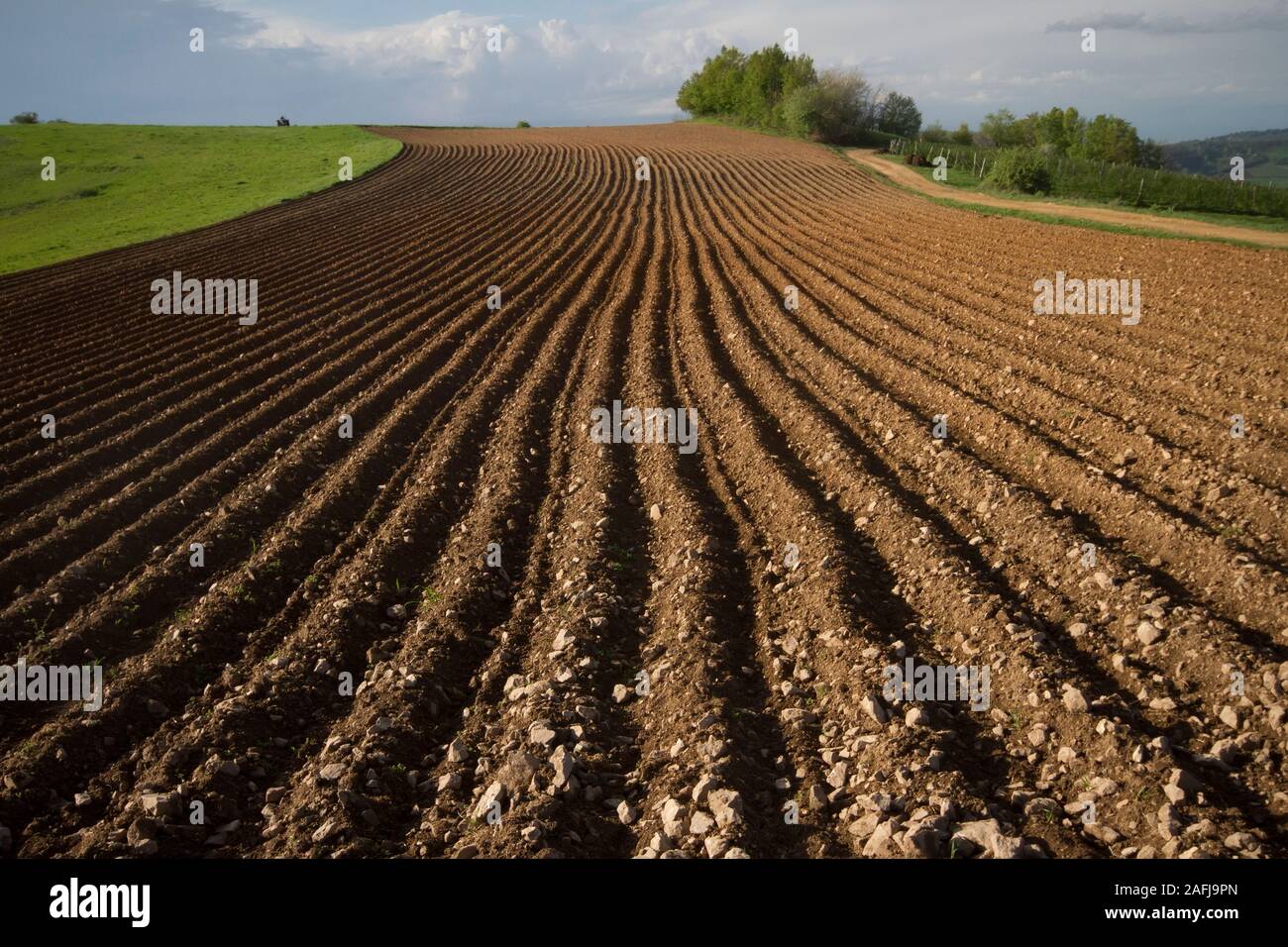 cultivated land prepared for sowing, Serbia Stock Photo - Alamy